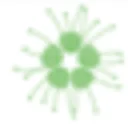 Zea Relief Coupon Codes